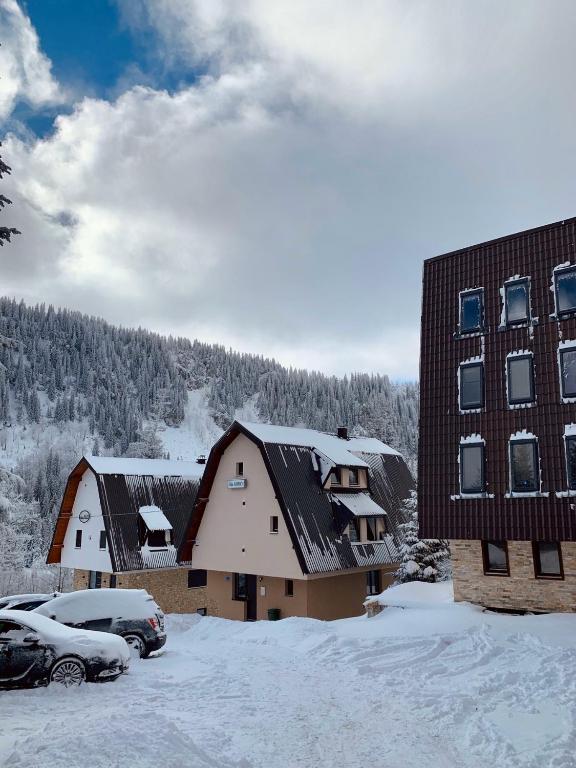 Vila Gorica Jahorina - 3