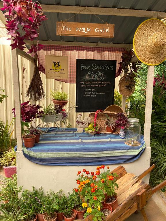Food and beverages