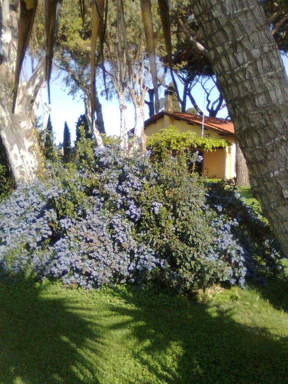 Casa Vacanze Vigna di Valle - 2