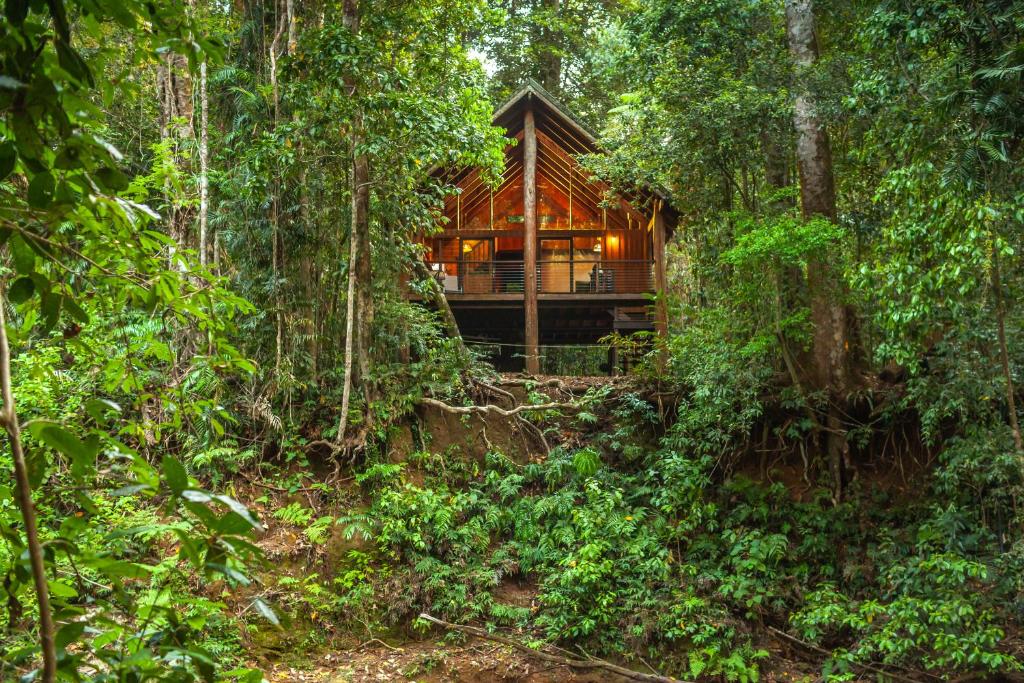 The Canopy Rainforest Treehouses photo