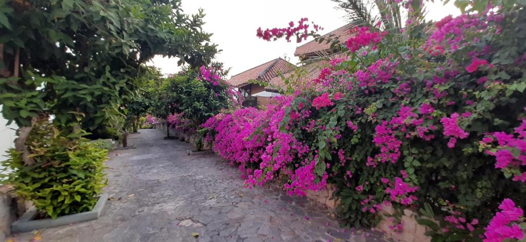 Surrounding environment