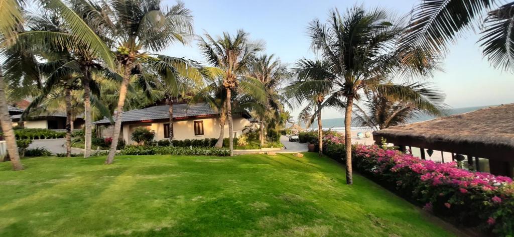 Surrounding environment