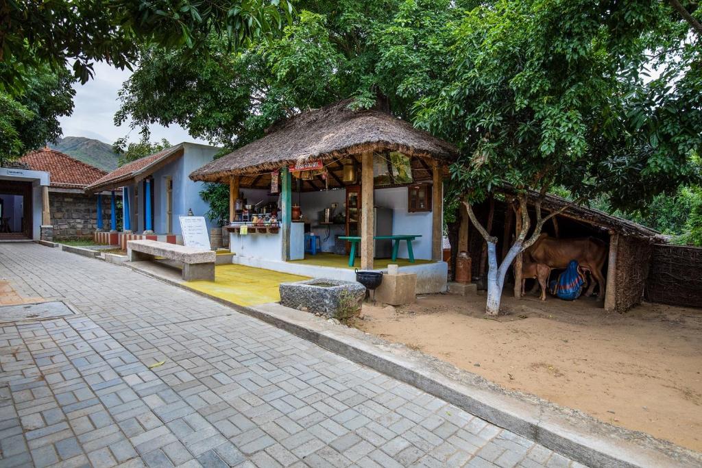 My Village - Eco Rural Resort photo