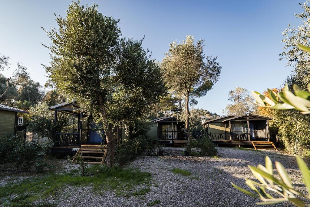 Oasi Camping - 2