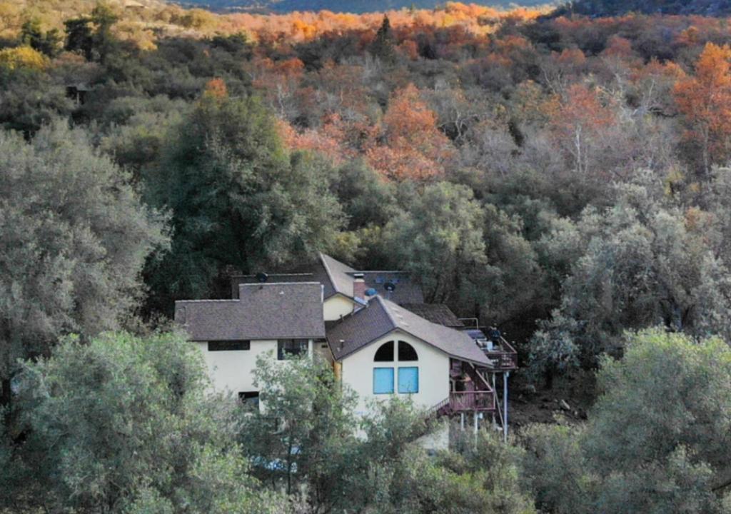 Sequoia South Fork Retreat