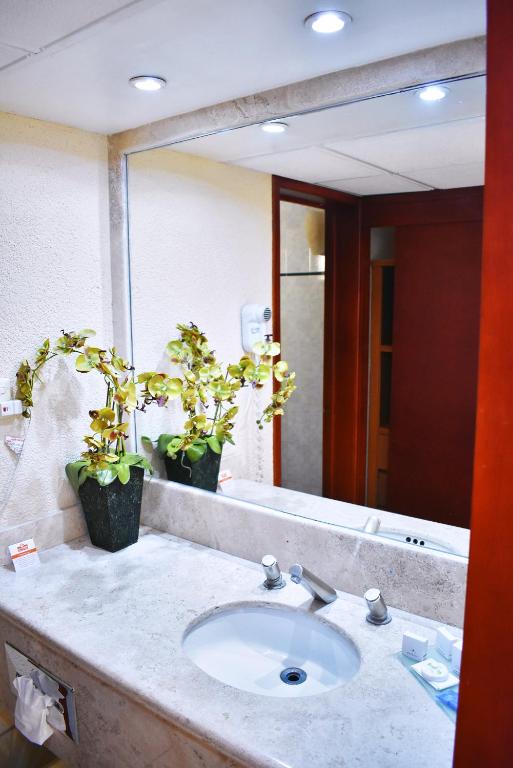 La Posada Hotel y Suites photo