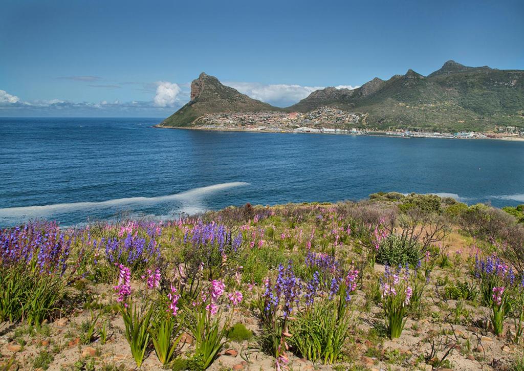 Beach Club Villa Hout Bay photo
