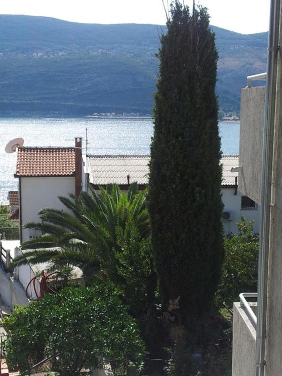 Apartments Beleni photo