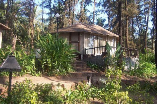Exotica Beach Cottages DIVEAGAR photo