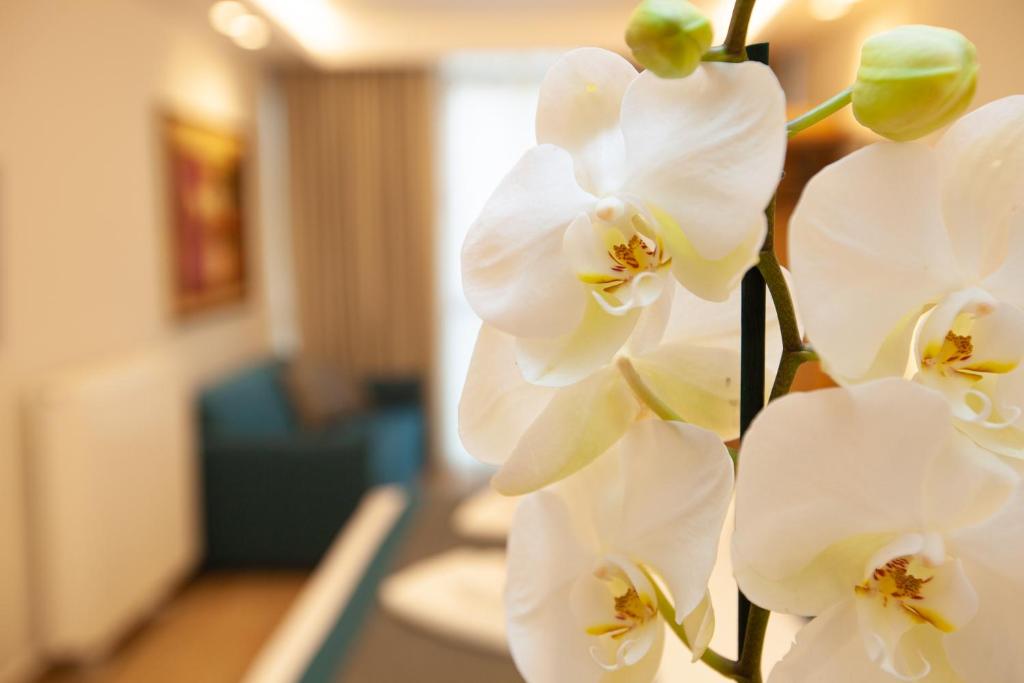 No21 Luxury Suites photo