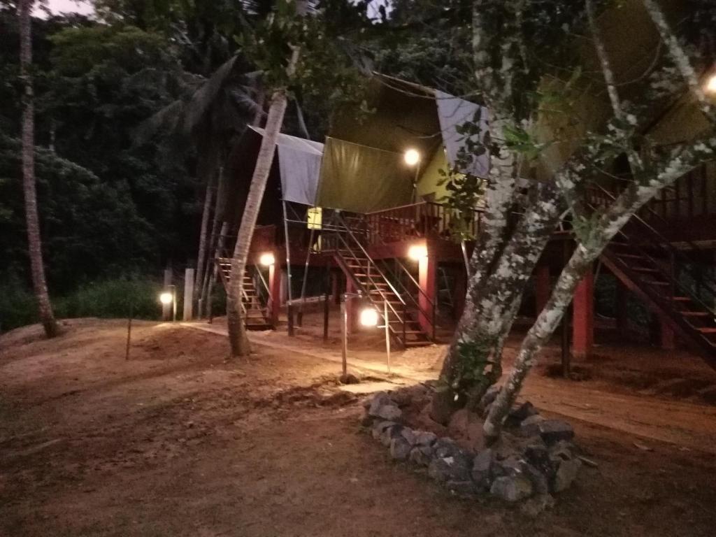 360 Rainforest                                                                                   photo