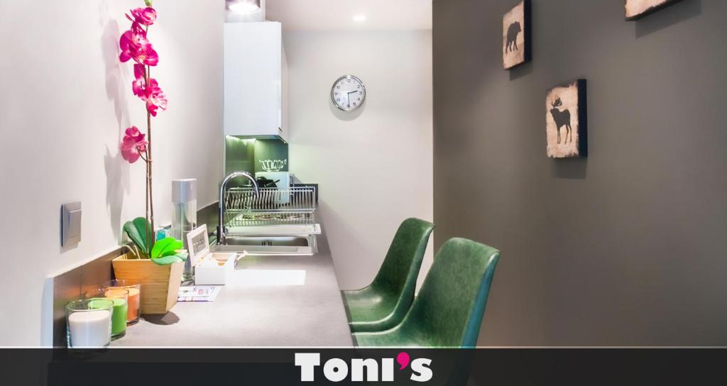 TONI'S STUDIO for couples near ACROPOLIS Museum, Atény