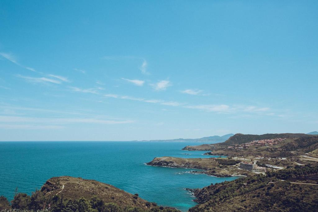 Regina's Banyuls - Top view - 2