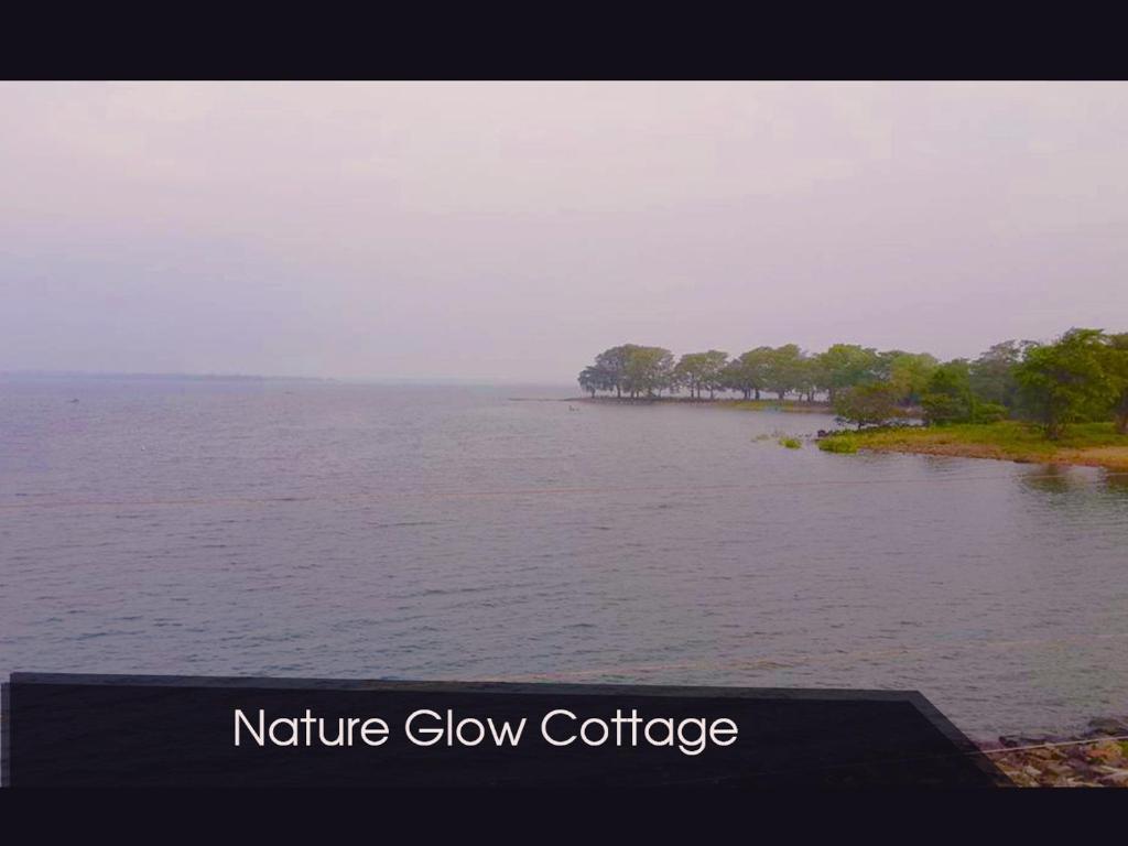 Nature Glow Cottage photo