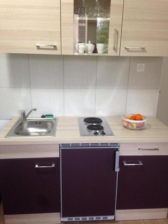 Studio Apartment Centar 2 photo