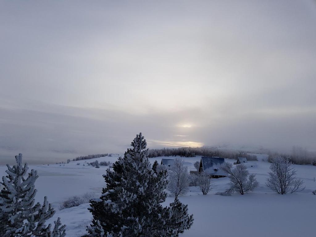 Surrounding environment