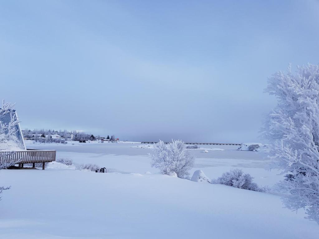 Surrounding environment