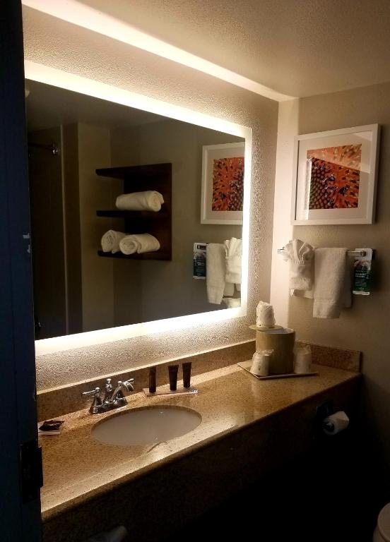 Wingate By Wyndham Dfw / North Irving Photo 6