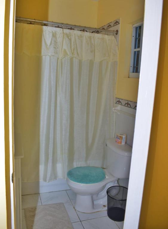 Unity Villa one bedroom apartment close to Montego Bay and Beaches with wifi photo
