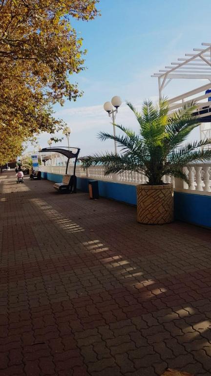 Guest house Anastasia photo