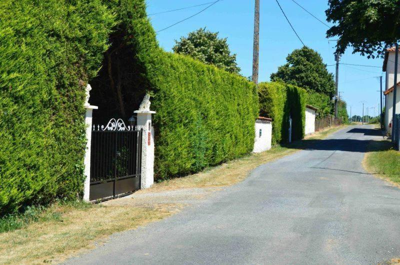 Le Quereau Cottage photo