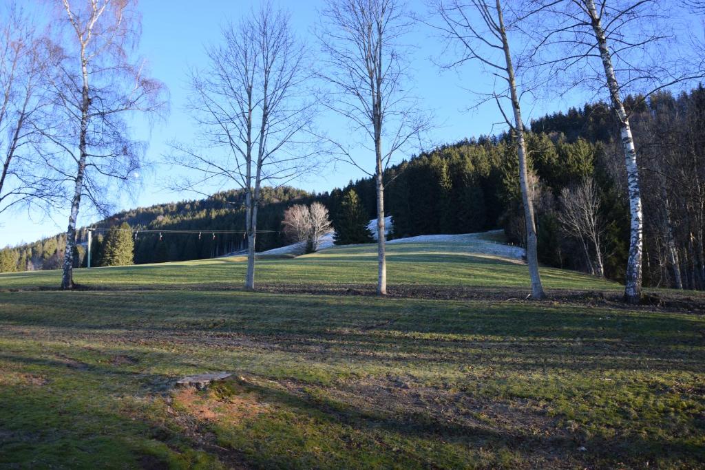 Ferienwohnung Allgäublick - 4