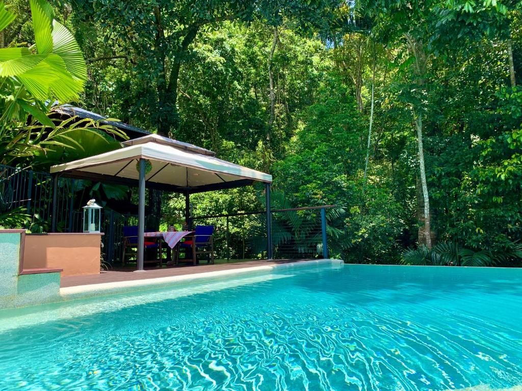 Cairns Rainforest Retreat photo