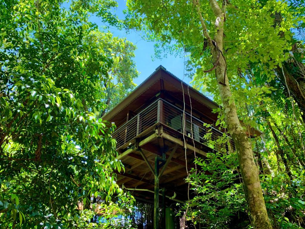 Cairns Rainforest Retreat — Hotel in Cairns