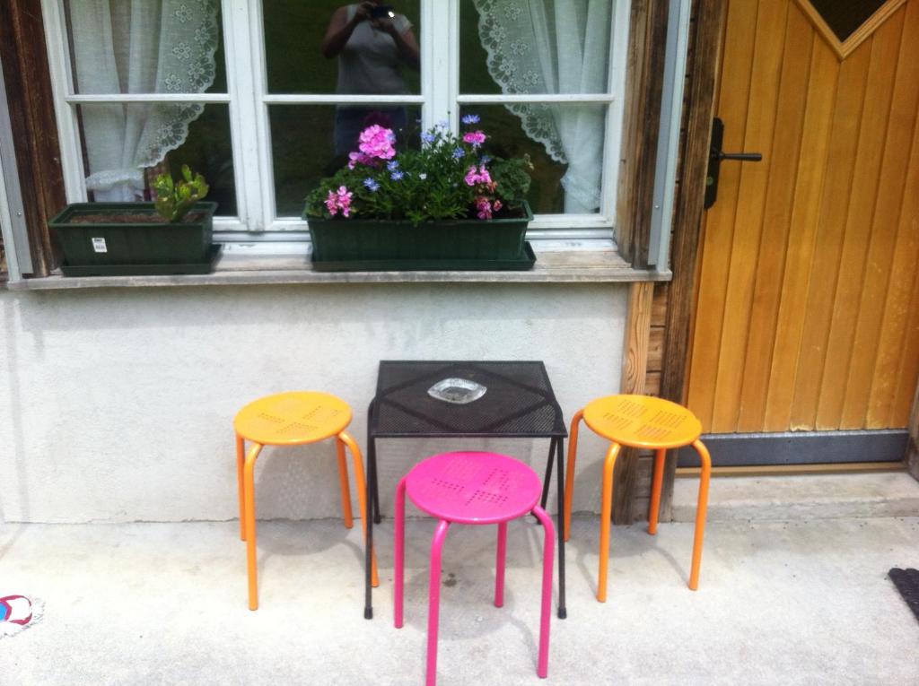 Ferienwohnung im Grünen - 5