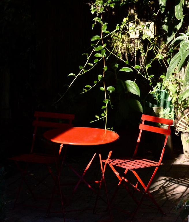 Casa Agrreste photo