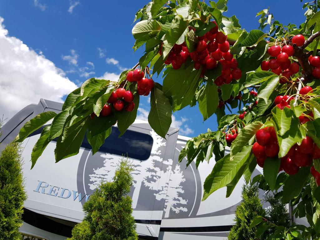 The Orchard at Oliver photo