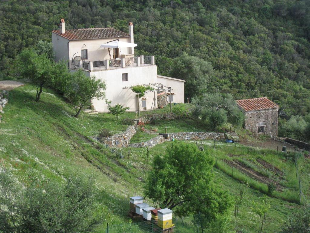 Casa del Macinino - 2