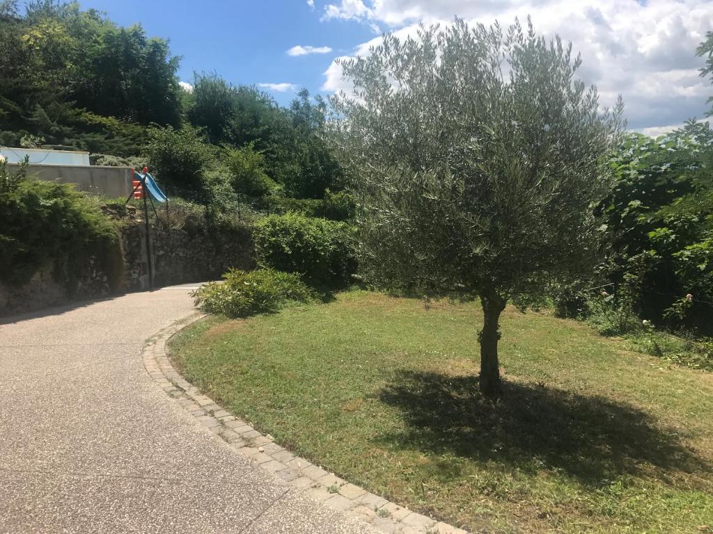 Les terrasses du Rhône - 5