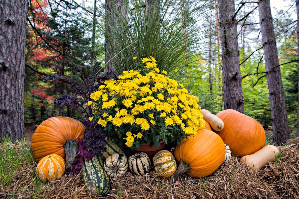 LAZY DAYS on the CREEK, Gatlinburg