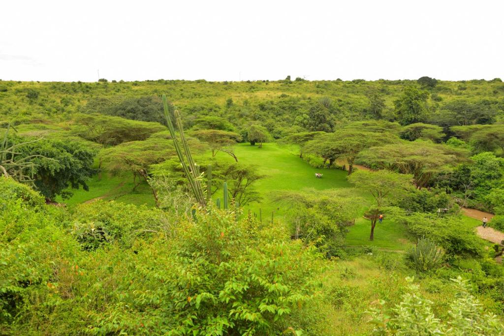 Maasai Lodge photo