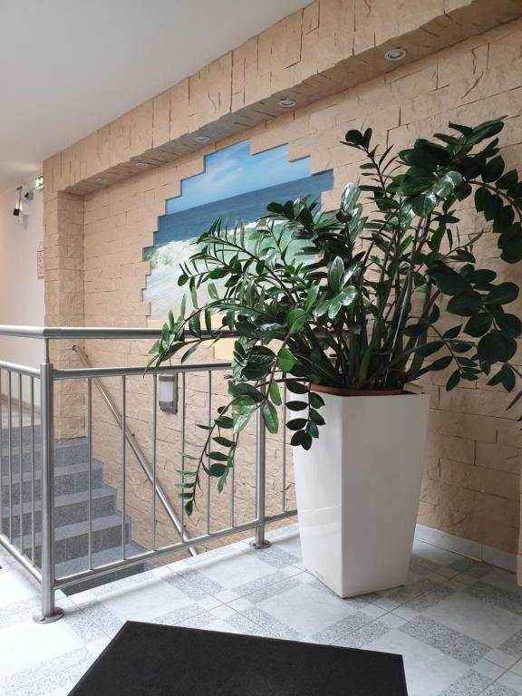 Zimmer for you의 청결한 욕실 또는 모던한 인테리어