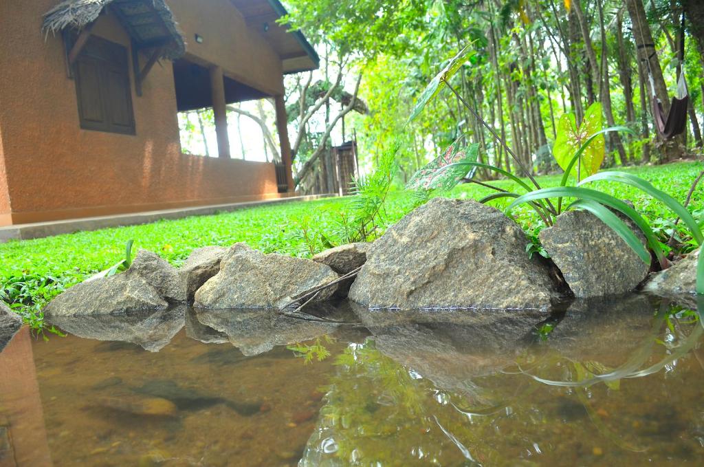 Ceyted Cottage photo