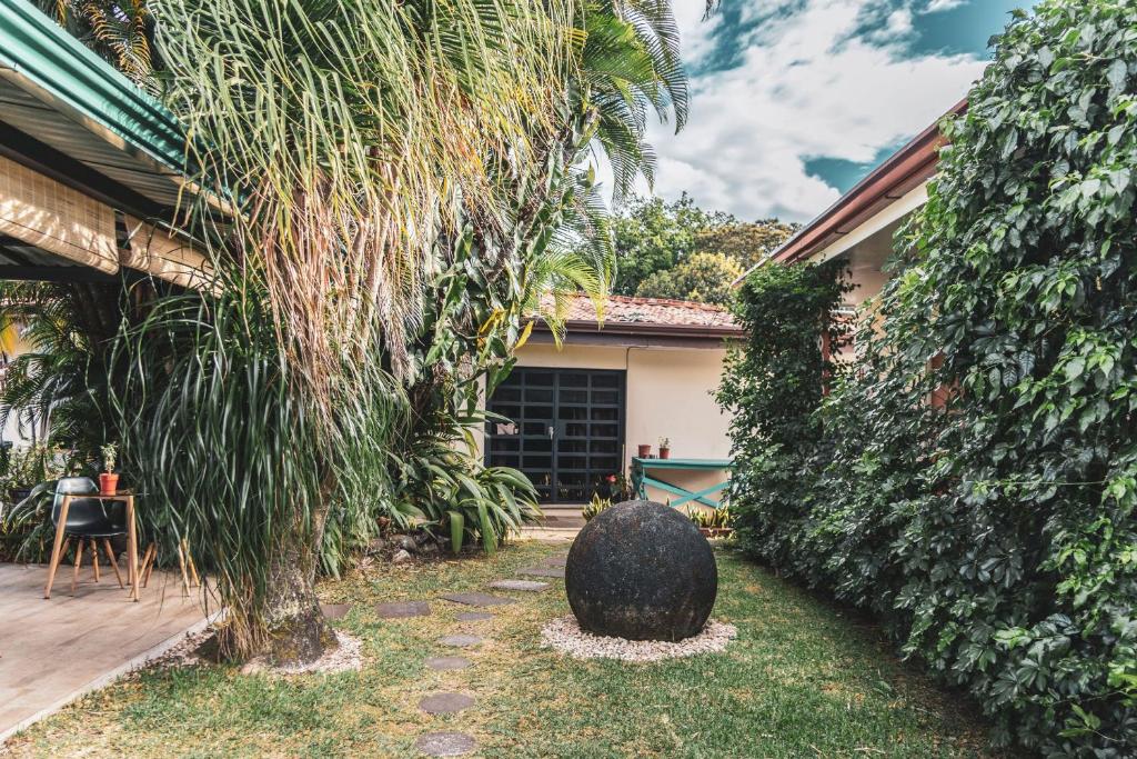 Garden, Terida Airport B&B in Alajuela