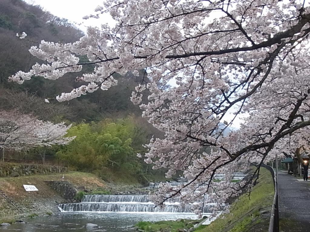 Hakone Yutowa photo