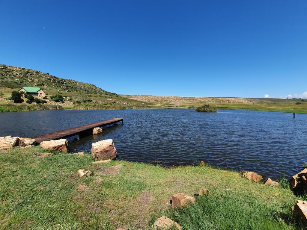 Field and Stream photo