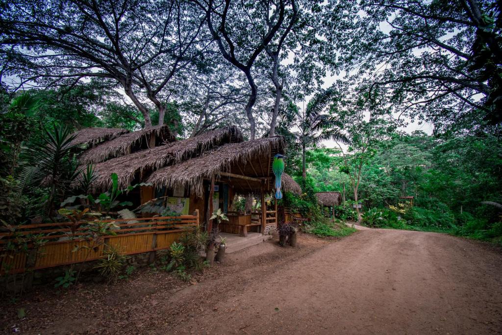 Río Muchacho Organic Farm - 1