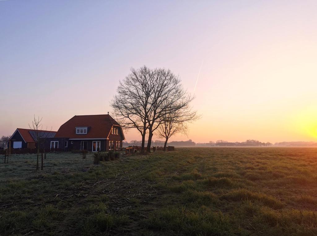 Bed & Breakfast de Vink 전경