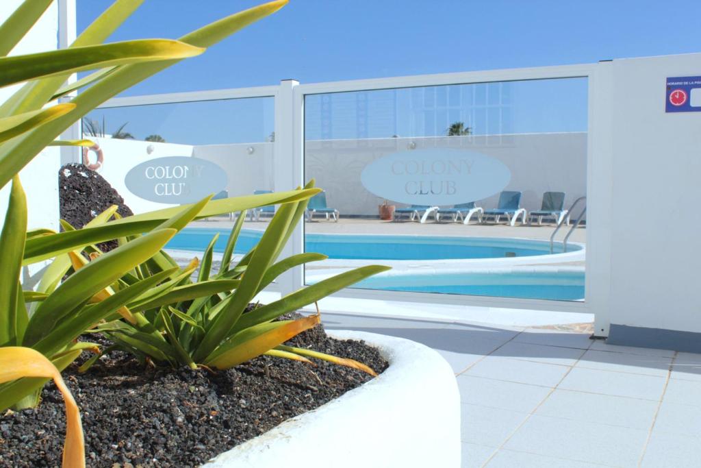 NEW ColonyClub - 2