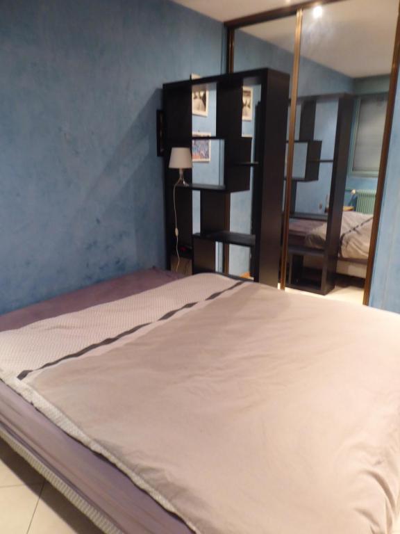 Chambre dans un appartement Annecy Gare-Centre - 2