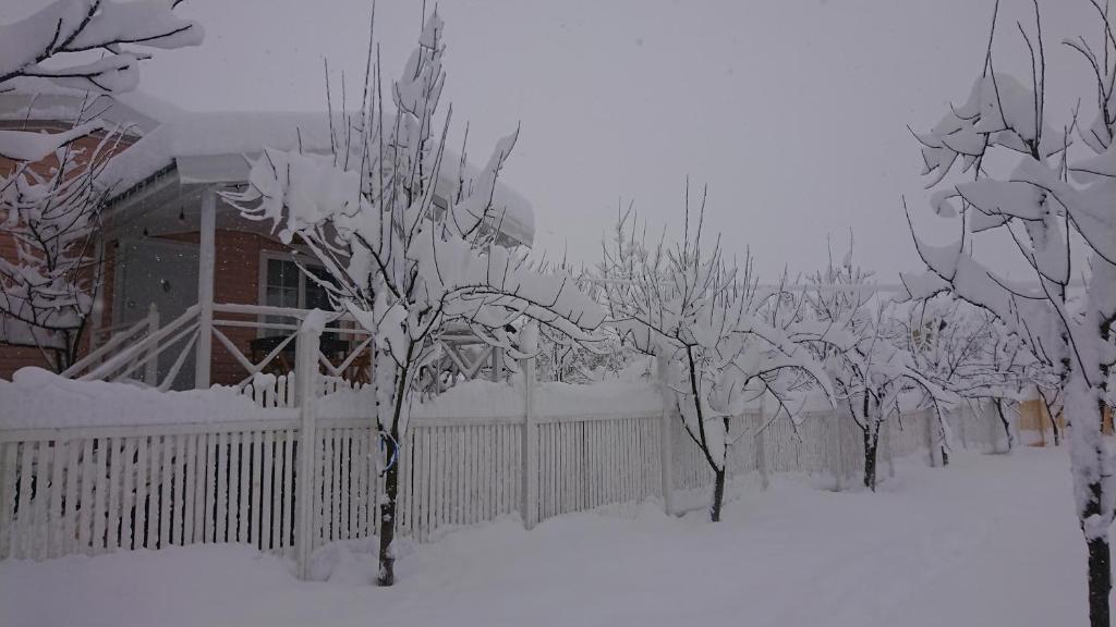 Our Garden photo