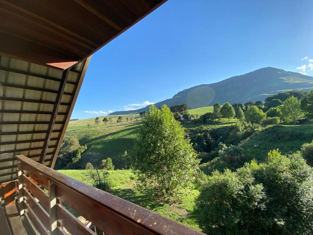 Drakensberg Dream, Champagne Valley photo