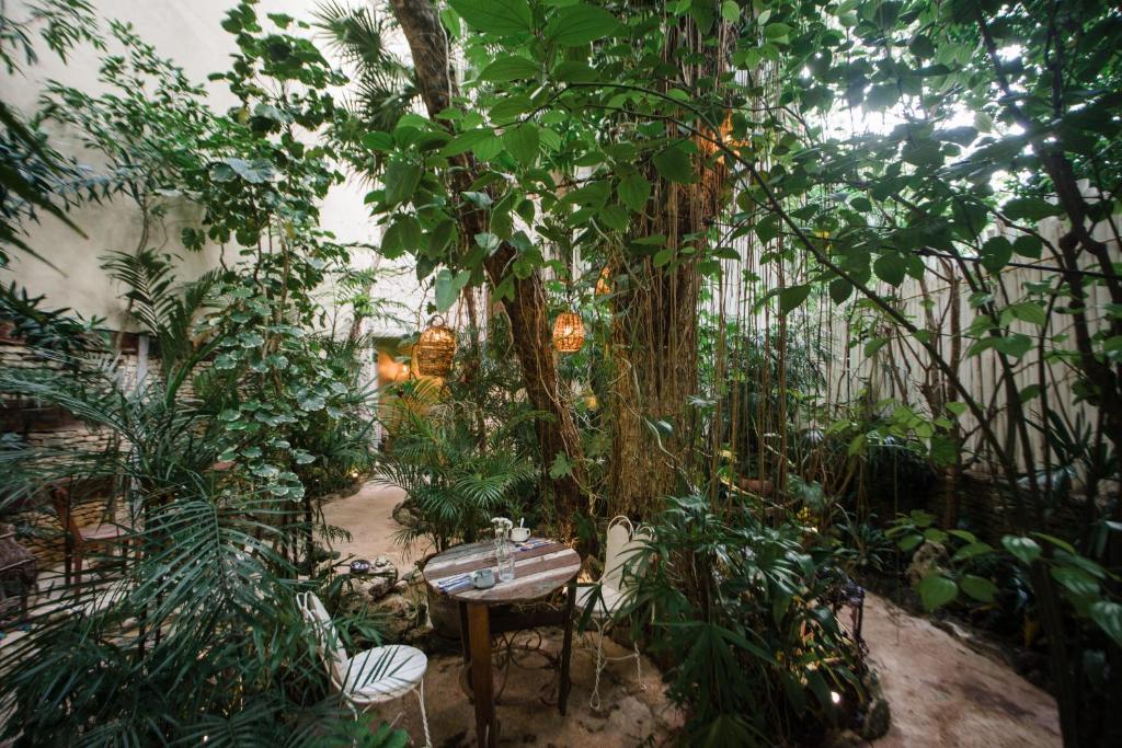Hotel La Semilla a Member of Design Hotels - 2