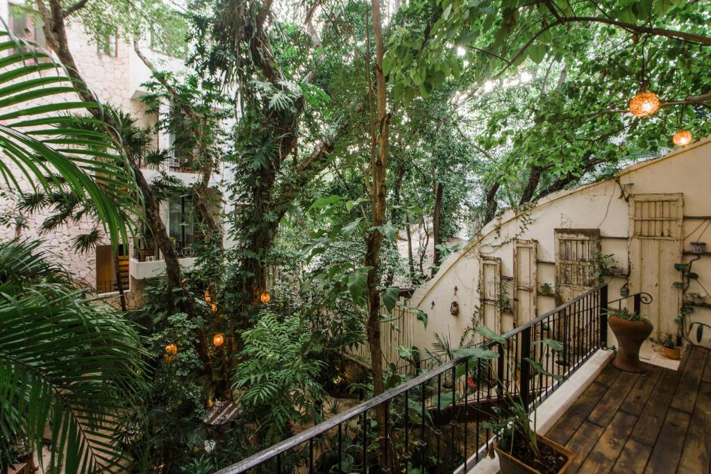 Hotel La Semilla a Member of Design Hotels - 5