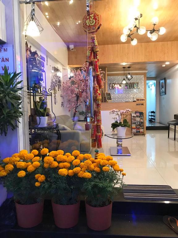 Khách Sạn Louis – Phố Đi Bộ Bùi Viện Khách Sạn Louis – Phố Đi Bộ Bùi Viện