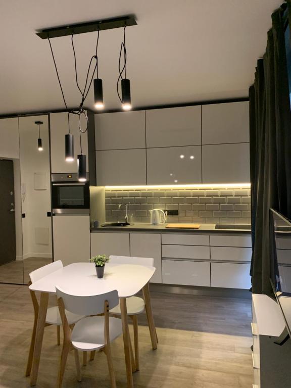 Near Ozas Studio, Vilnius